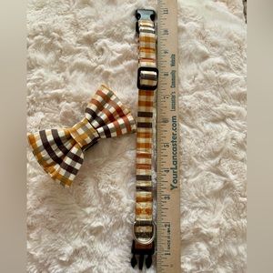 Fall Dog Collar with Removable Bow Tie